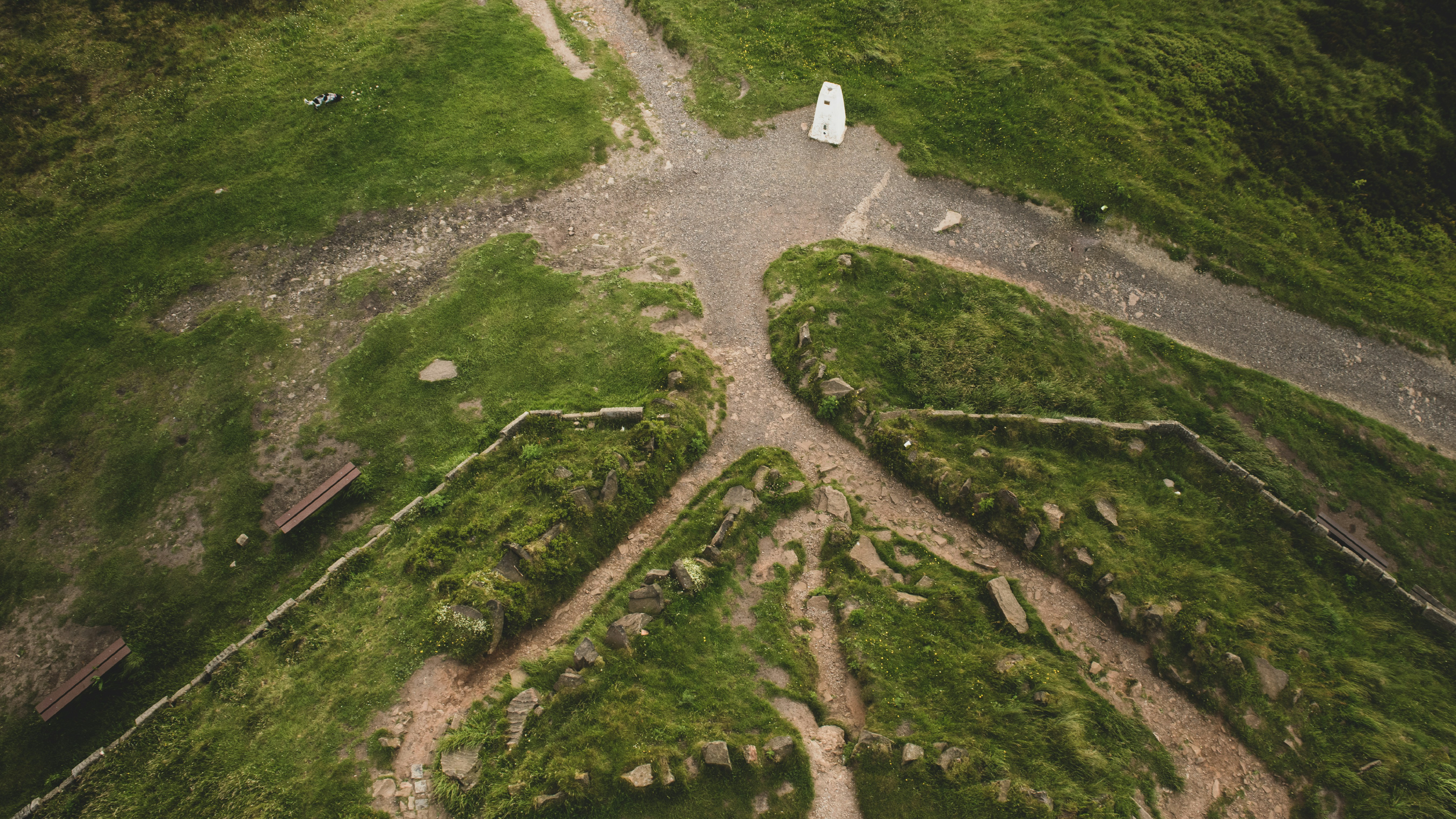 The ADHD Developer's Career Ceiling